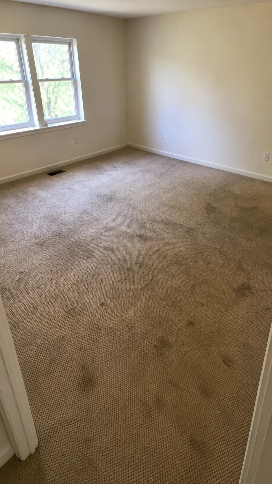 Carpet before professional cleaning