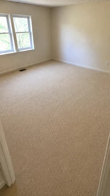 Carpet after cleaning