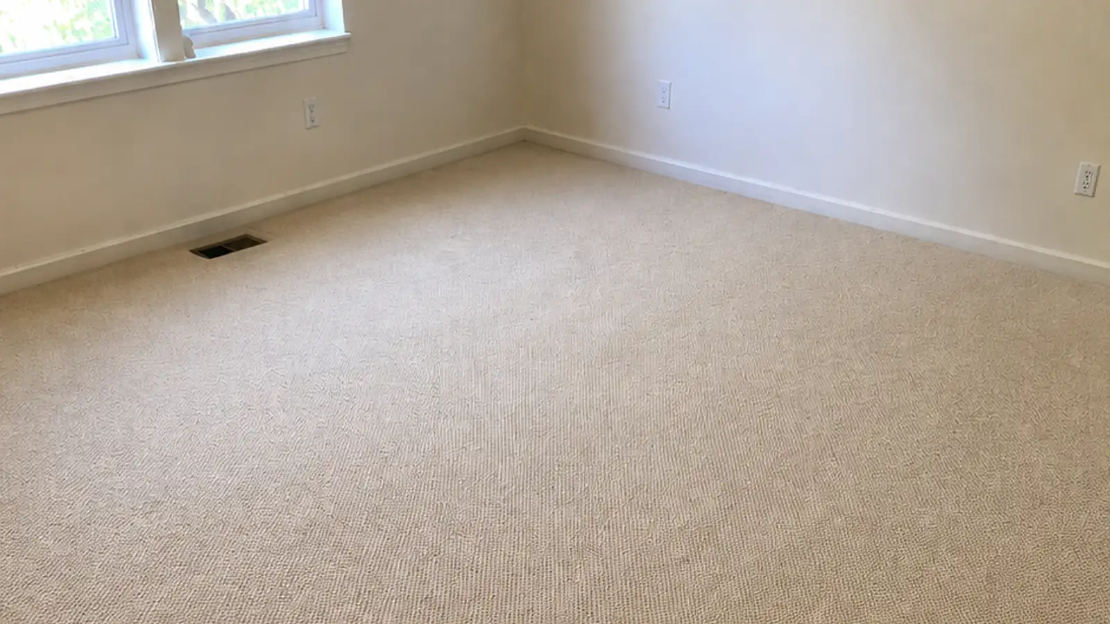 Wall-to-wall carpet in an empty room after cleaning