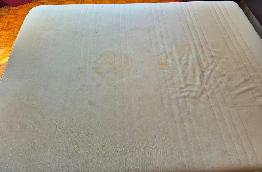 Mattress with urine-related and biological stains before professional cleaning
