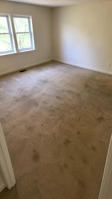 Carpet before cleaning