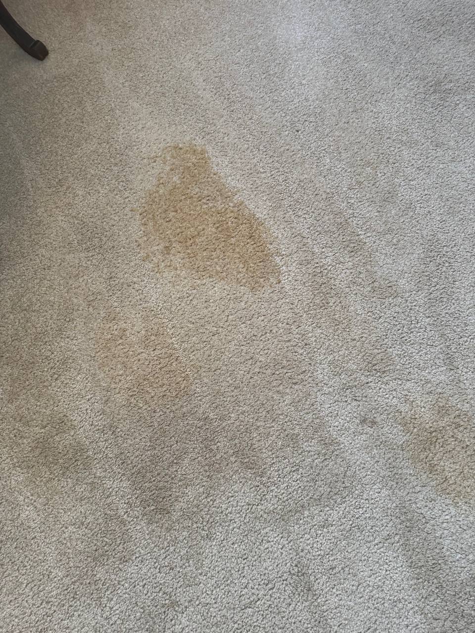 Carpet before cleaning