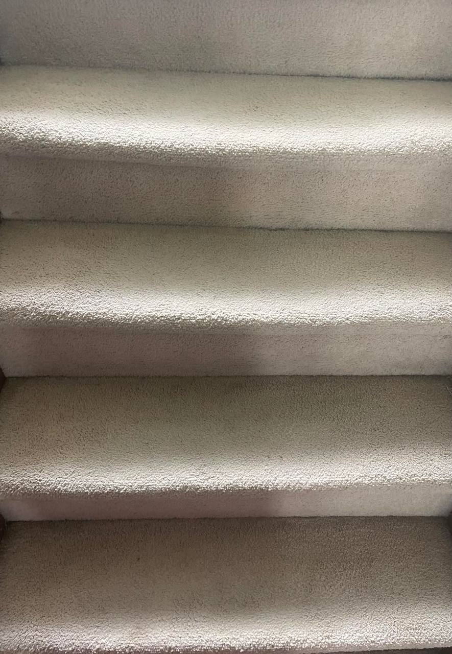 Carpeted stairs after cleaning