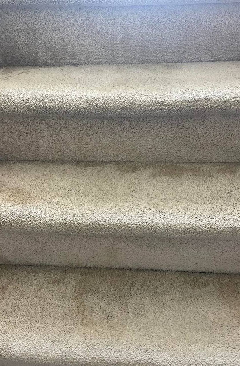 Carpeted stairs before cleaning